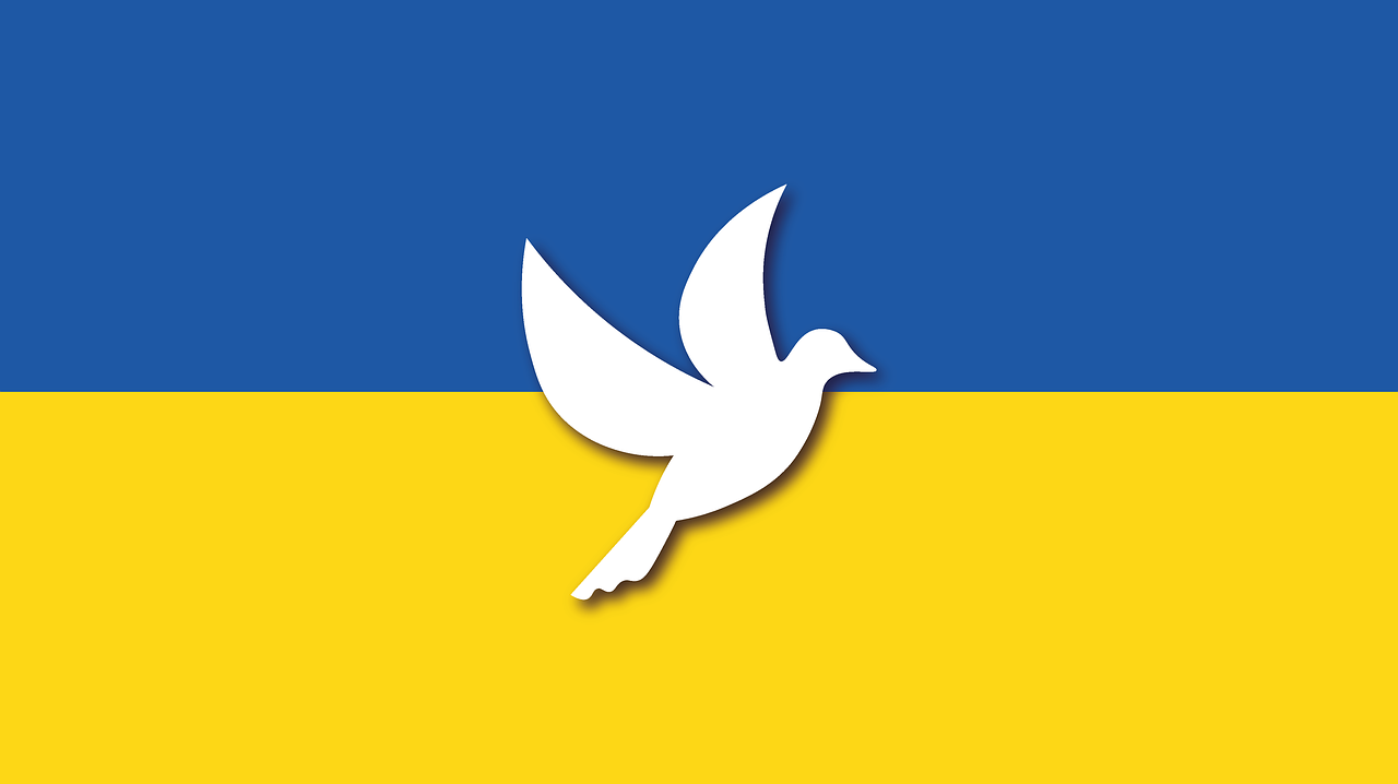 evg-ukraine